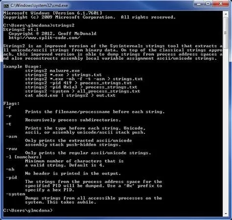 Sysinternals Strings Output