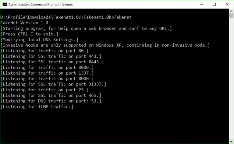 FakeNet Network Traffic Simulation Screen