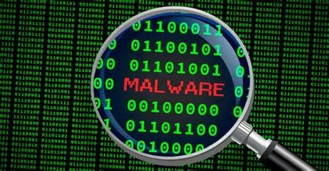 Malware Analysis Process