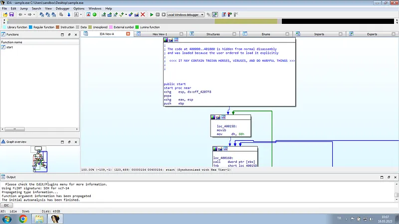 IDA Pro Control Flow Graph Interface