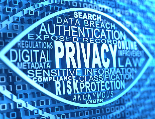 Data Privacy and GDPR/CCPA Compliance Processes